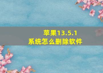 苹果13.5.1系统怎么删除软件