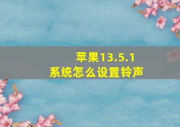 苹果13.5.1系统怎么设置铃声