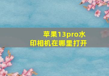 苹果13pro水印相机在哪里打开