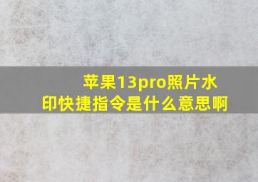 苹果13pro照片水印快捷指令是什么意思啊