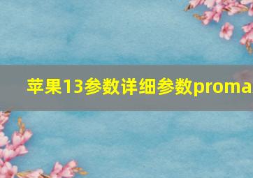 苹果13参数详细参数promax