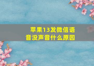 苹果13发微信语音没声音什么原因