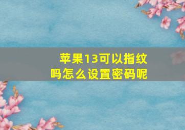 苹果13可以指纹吗怎么设置密码呢