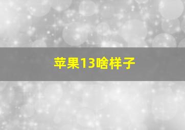 苹果13啥样子