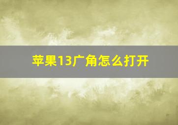 苹果13广角怎么打开