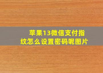 苹果13微信支付指纹怎么设置密码呢图片