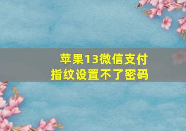 苹果13微信支付指纹设置不了密码