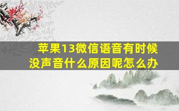 苹果13微信语音有时候没声音什么原因呢怎么办