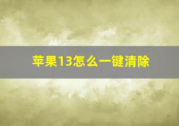 苹果13怎么一键清除