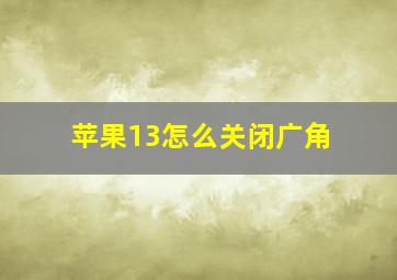 苹果13怎么关闭广角