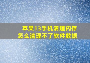 苹果13手机清理内存怎么清理不了软件数据