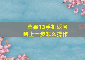 苹果13手机返回到上一步怎么操作