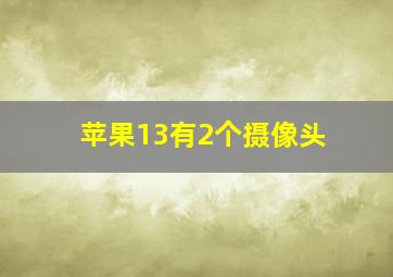 苹果13有2个摄像头