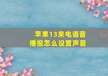 苹果13来电语音播报怎么设置声音