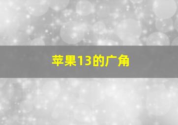 苹果13的广角