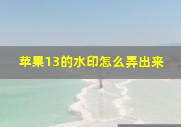 苹果13的水印怎么弄出来