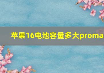 苹果16电池容量多大promax