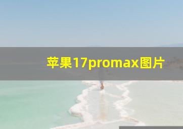 苹果17promax图片