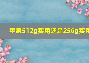 苹果512g实用还是256g实用