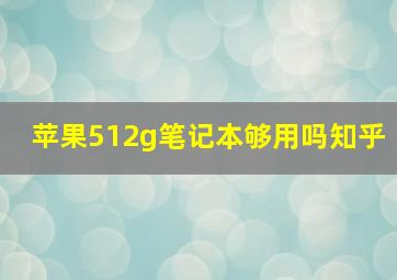 苹果512g笔记本够用吗知乎