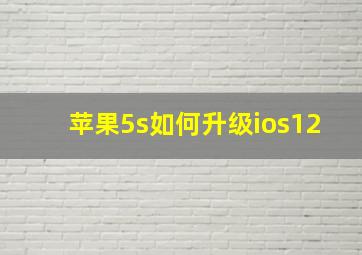 苹果5s如何升级ios12