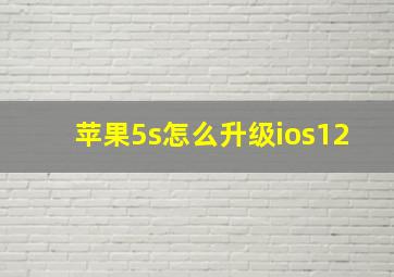 苹果5s怎么升级ios12