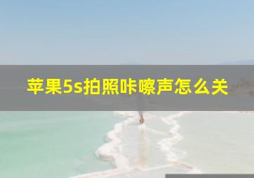 苹果5s拍照咔嚓声怎么关