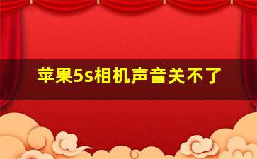 苹果5s相机声音关不了