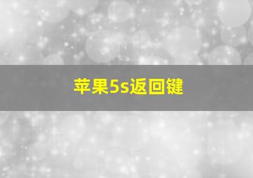 苹果5s返回键