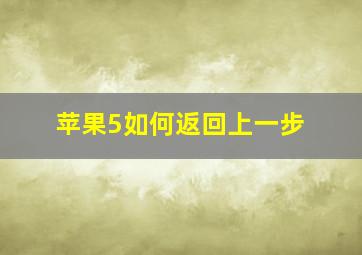 苹果5如何返回上一步