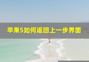 苹果5如何返回上一步界面