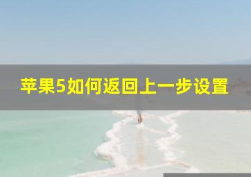 苹果5如何返回上一步设置