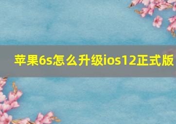 苹果6s怎么升级ios12正式版