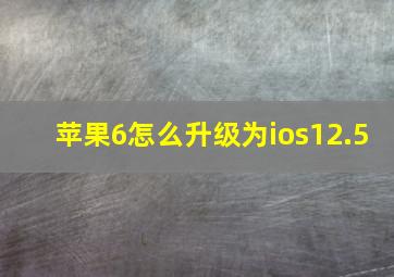 苹果6怎么升级为ios12.5