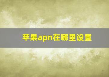 苹果apn在哪里设置