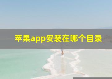 苹果app安装在哪个目录