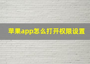 苹果app怎么打开权限设置