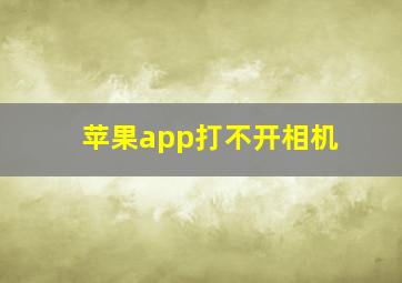 苹果app打不开相机