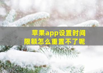 苹果app设置时间限额怎么重置不了呢