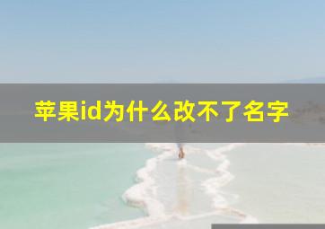 苹果id为什么改不了名字