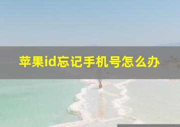 苹果id忘记手机号怎么办