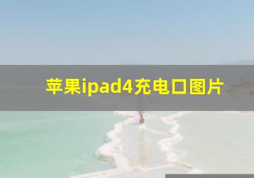 苹果ipad4充电口图片