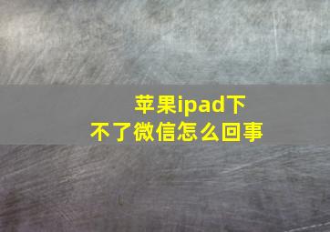 苹果ipad下不了微信怎么回事