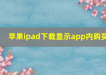 苹果ipad下载显示app内购买