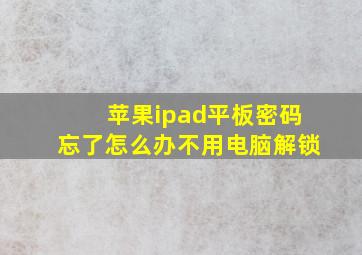 苹果ipad平板密码忘了怎么办不用电脑解锁