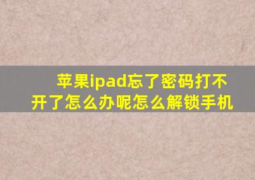 苹果ipad忘了密码打不开了怎么办呢怎么解锁手机