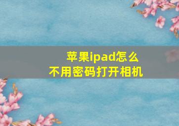 苹果ipad怎么不用密码打开相机