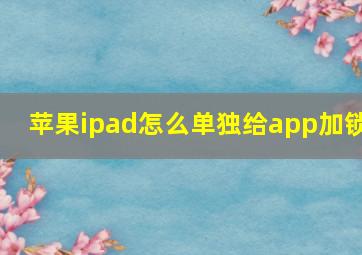 苹果ipad怎么单独给app加锁