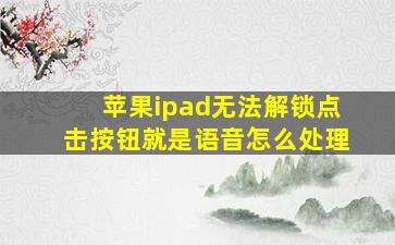 苹果ipad无法解锁点击按钮就是语音怎么处理