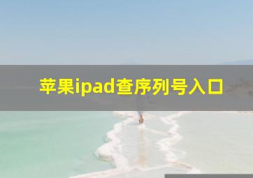 苹果ipad查序列号入口